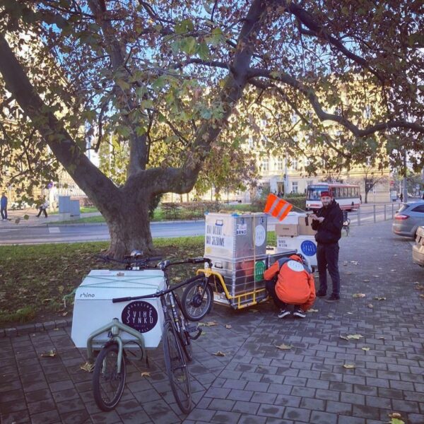 315201849_620296106552791_8262178839801891456_n