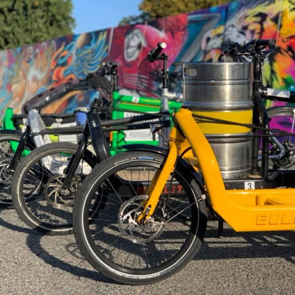 72126228_907294266314240_2753554020806164480_n